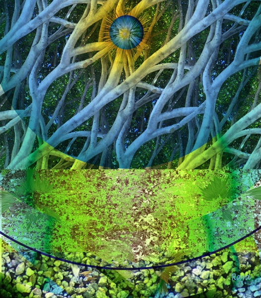 Image #3 of 11: 